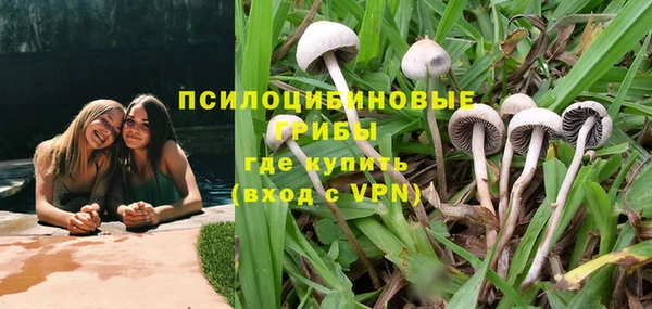 apvp Вязники