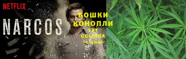 ECSTASY Вяземский