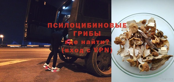 прущие грибы Волоколамск