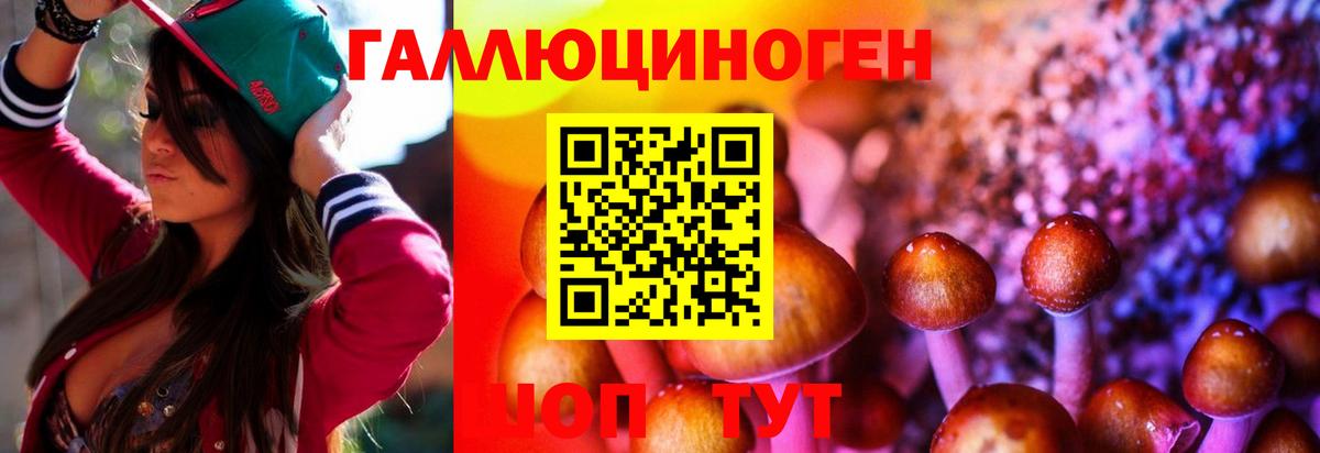 Галлюциногенные грибы MAGIC MUSHROOMS  Вход с VPN  Губкинский  Псилоцибиновые грибы ЛСД 